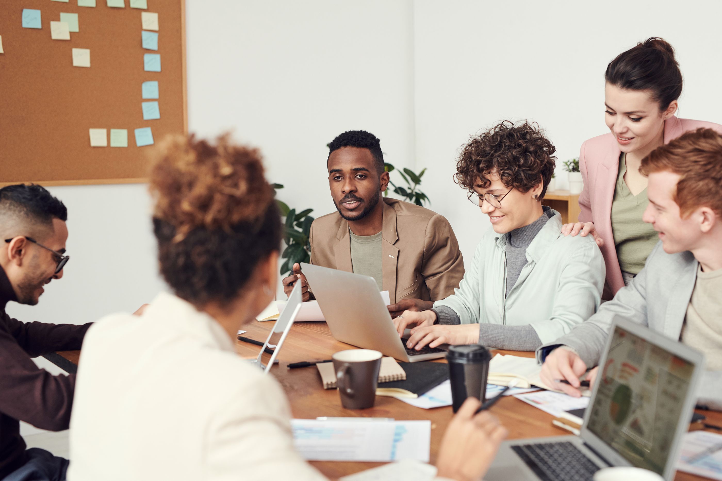 Vectornosis leadership in a product review